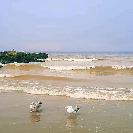 In Near The Beach, Cleaning Included * 니우포르트